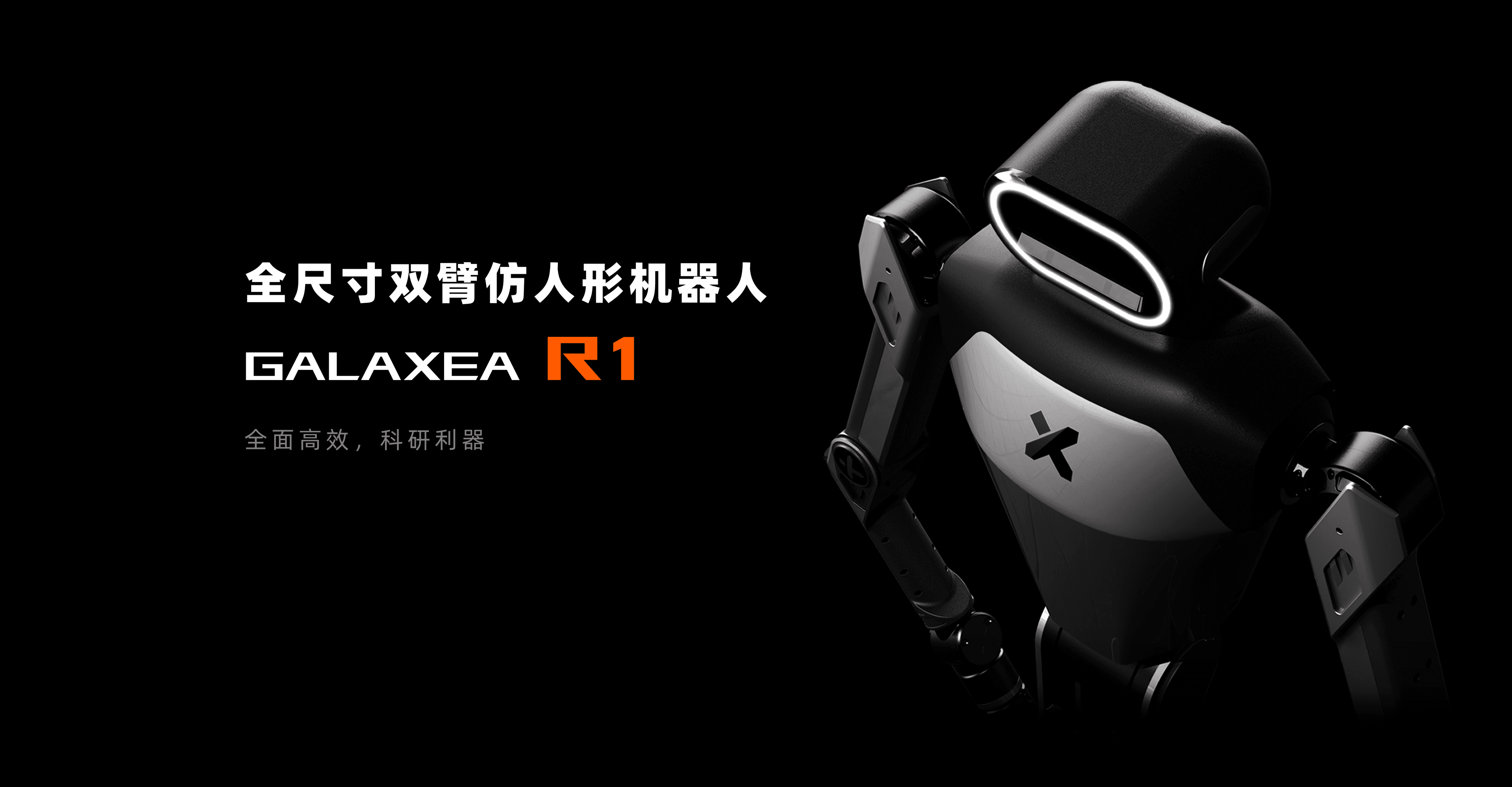 R1 背景